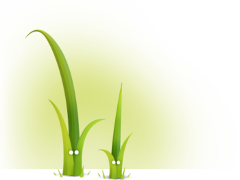 Как подружить WordPress и Twig