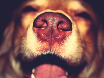 Analyze your code with PHP_CodeSniffer